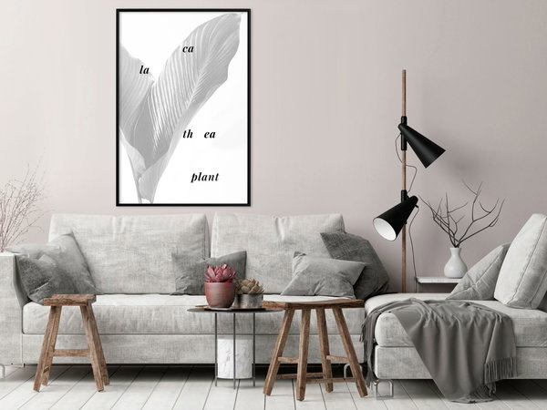 Poster 'Calathea Leaves'