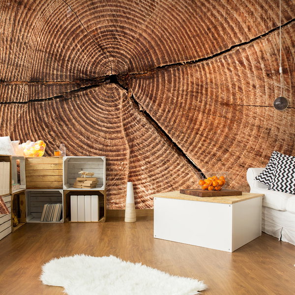 Wallpaper 'Cross Section of the Tree Trunk'