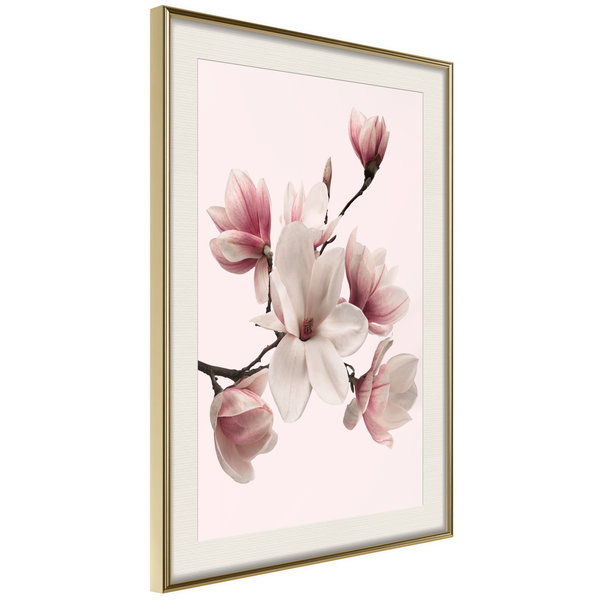 Poster 'Blooming Magnolias I'