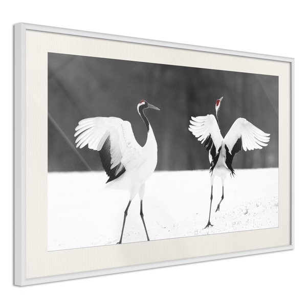 Poster 'Bird Date'