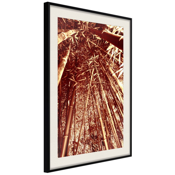 Poster 'Asian Forest'