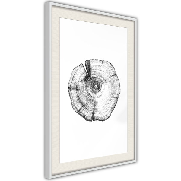 Poster 'Tree Rings'