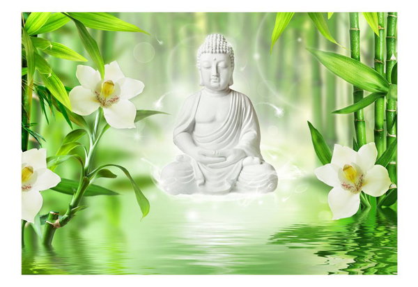 Selbstklebende Tapete 'Buddha and nature'