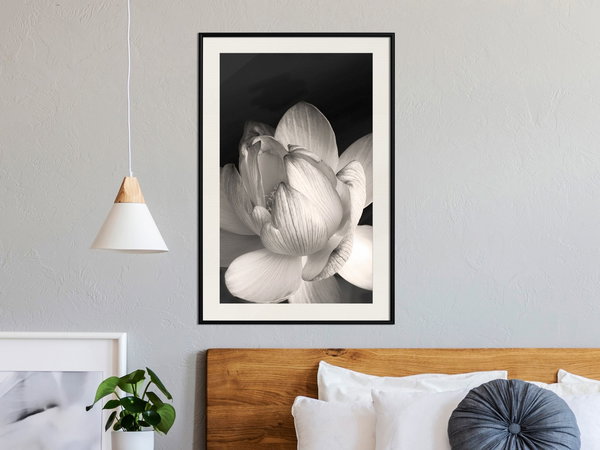 Poster 'Delicacy of a Flower'
