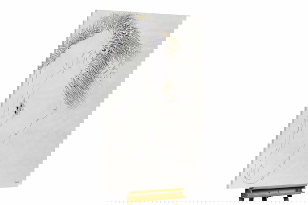 Unikat za sva četiri zida