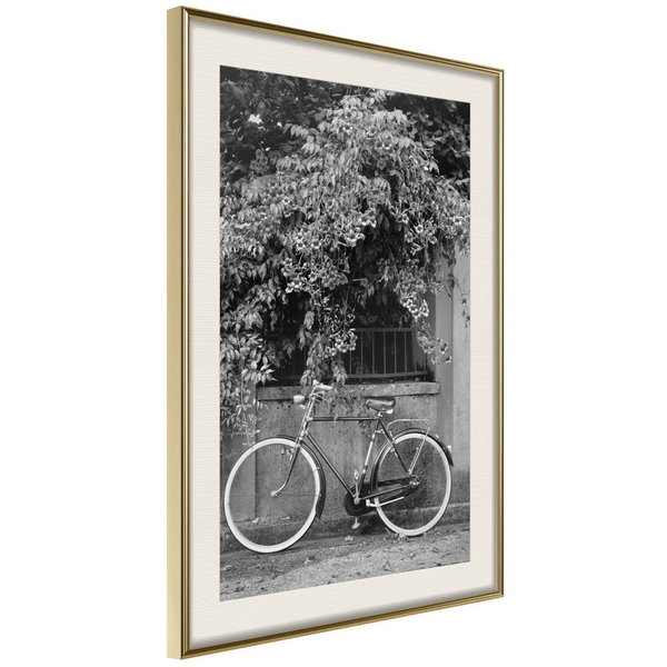 Poster 'Bicycle with White Tires'