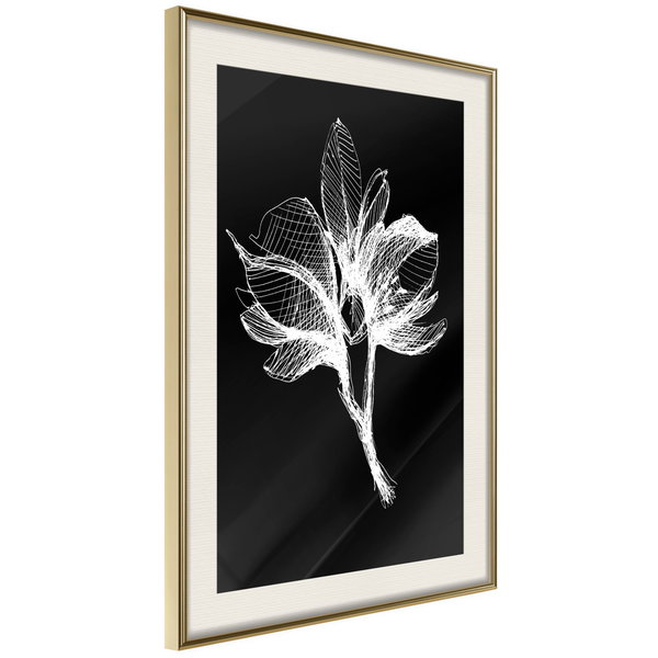 Poster 'White Plant'
