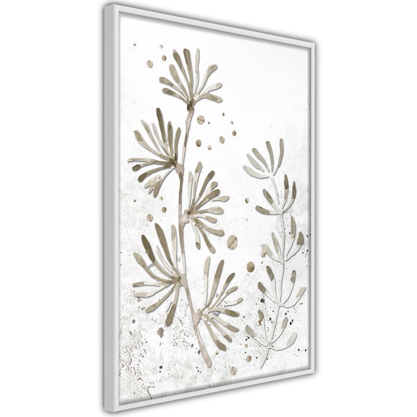 Poster 'Dried Plants'