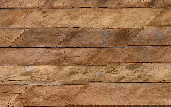 Tapeta 'Old Oak' 400x267cm