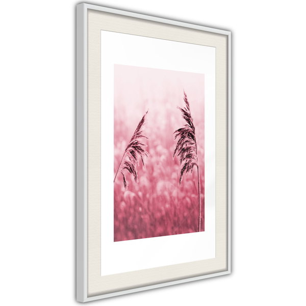 Poster 'Amaranth Meadow'