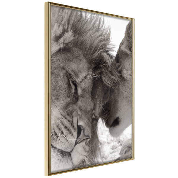 Poster 'Predatory Couple'