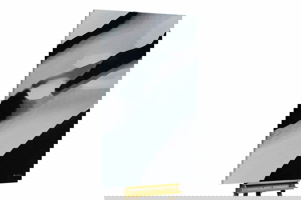 Een uniek exemplaar voor je interieur