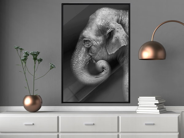 Poster 'Wisdom'