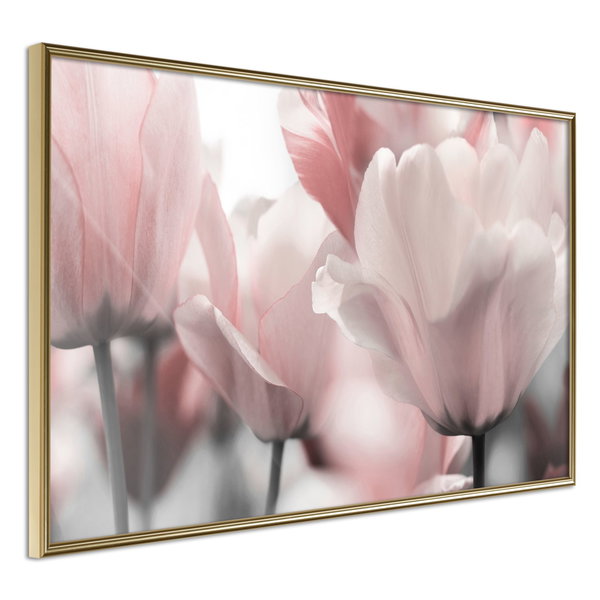 Poster 'Pastel Tulips II'