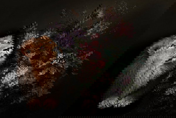 Wallpaper 'Wildlife 2' 400x270cm