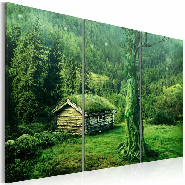 Kunstdruck auf Leinwand 'Wald: Ökosystem'