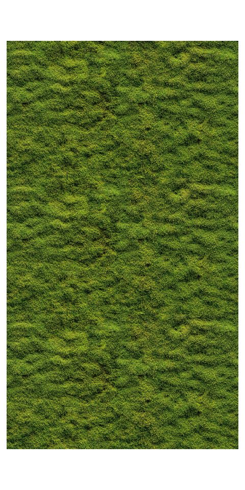 Tapeta 'Mossy Texture' 159x280cm