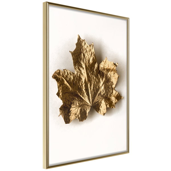 Poster 'Dried Maple Leaf'