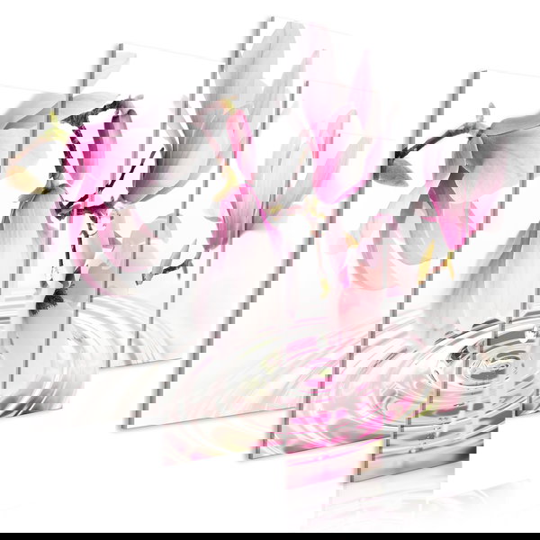 Kunstdruk op canvas 'Magnolias over Water (5 Parts) Wide Pink'