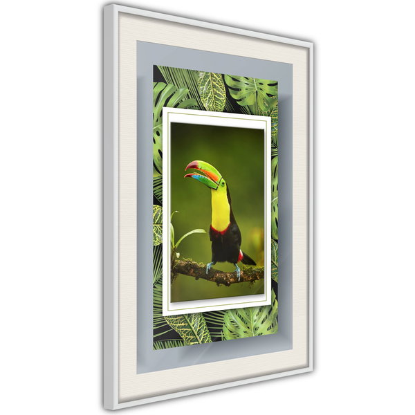 Poster 'Toucan in the Frame'