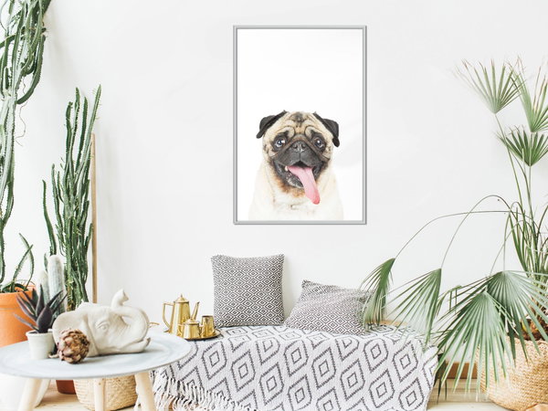 Poster 'Pug'