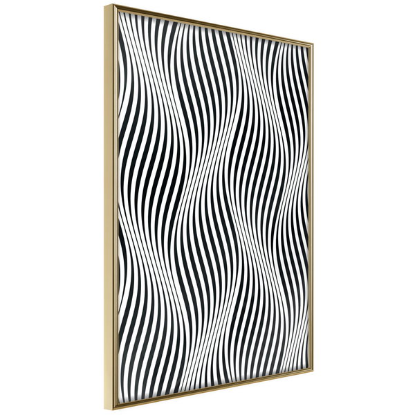 Poster 'Illusion of Movement'