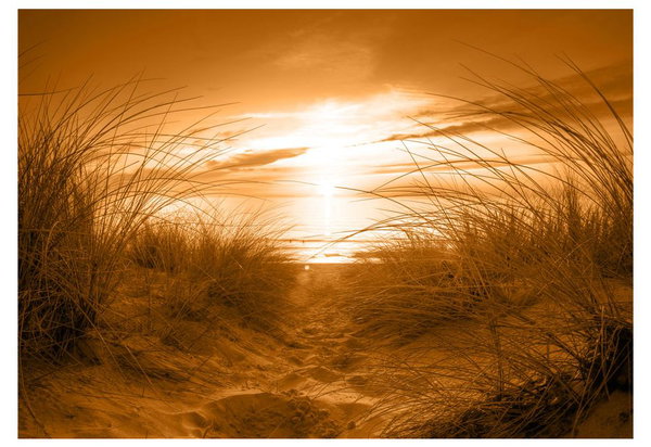Selbstklebende Tapete 'Strand (Sepia)'
