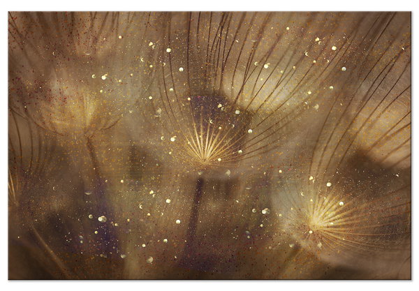 Kunstdruck auf Leinwand 'Golden Dandelions Wide'