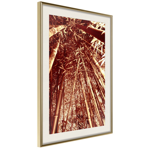 Poster 'Asian Forest'