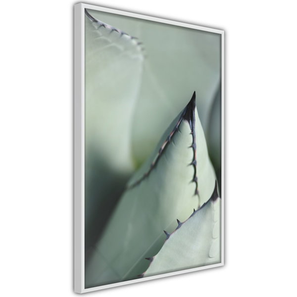 Poster 'Young Leaf of Agave'