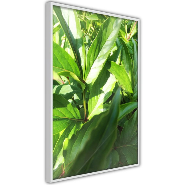 Poster 'Somewhere in the Garden'