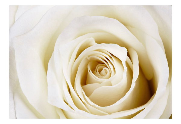 Tapete 'Pearl maze'