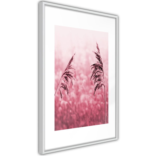 Poster 'Amaranth Meadow'