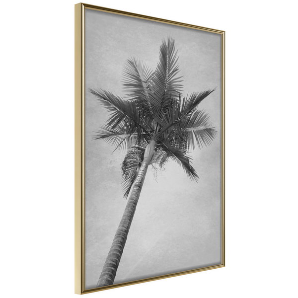 Poster 'Memories from the Paradise'
