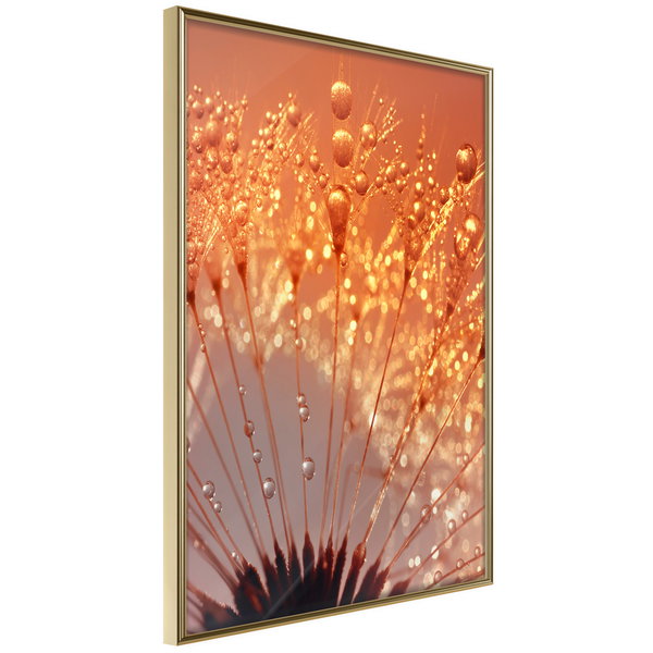 Poster 'Orange Breath of the Summer'
