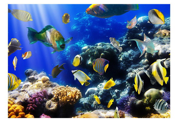 Selbstklebende Tapete 'Underwater adventure'