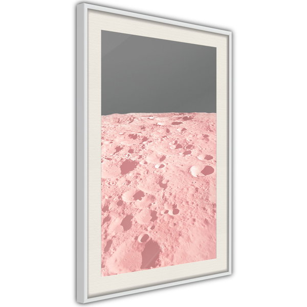 Poster 'Pink Moon'
