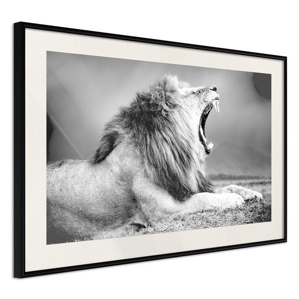 Poster 'Yawning Lion'