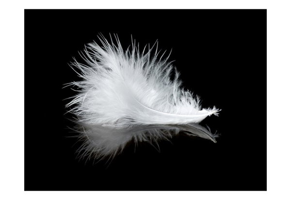 Tapete 'White feather'