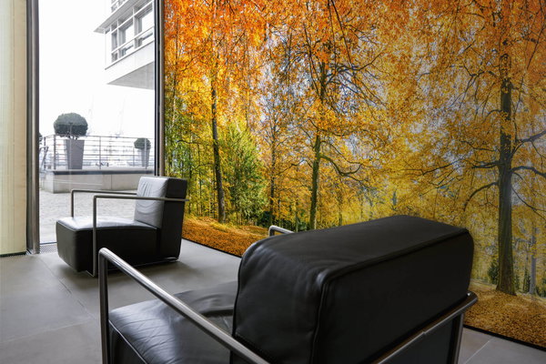 Tapete 'Autumn Forest' 600x250cm