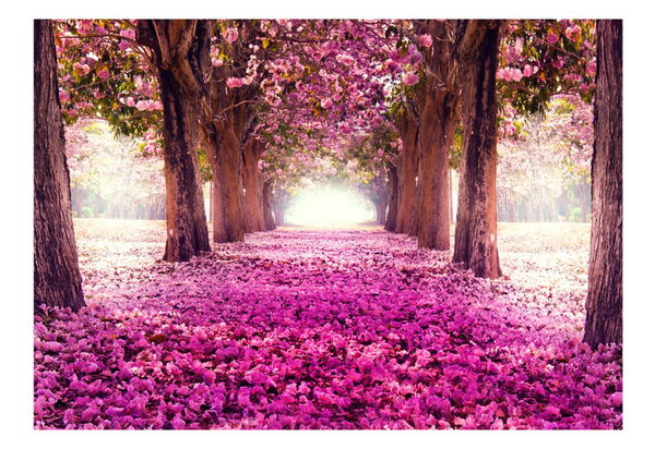 Selbstklebende Tapete 'Pink path'