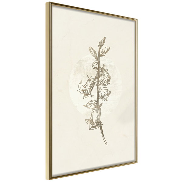 Poster 'Beige Campanula'