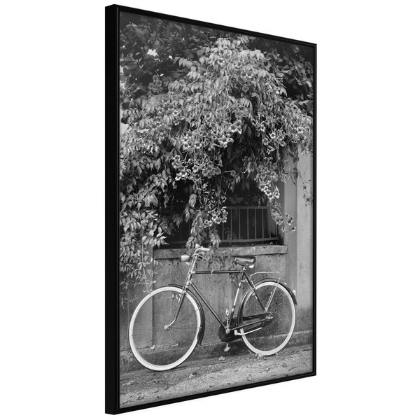 Poster 'Bicycle with White Tires'
