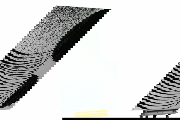 Een uniek exemplaar voor je interieur