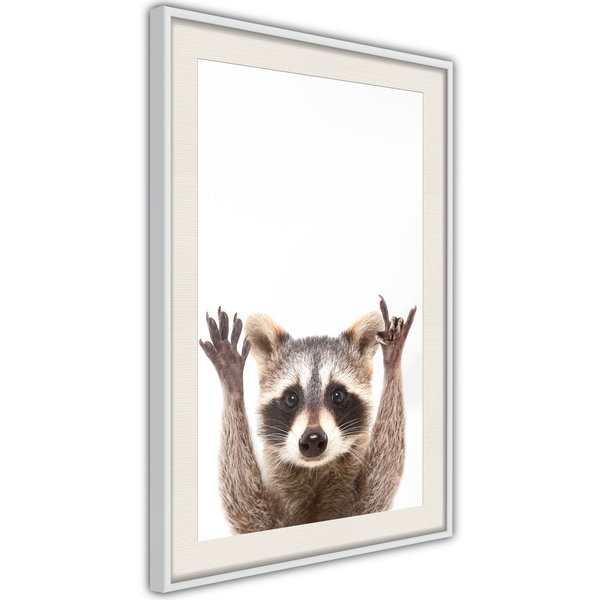 Poster 'Raccoon'