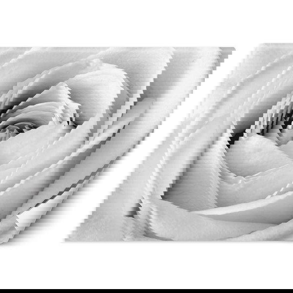 Papier peint 'Petal Veil'