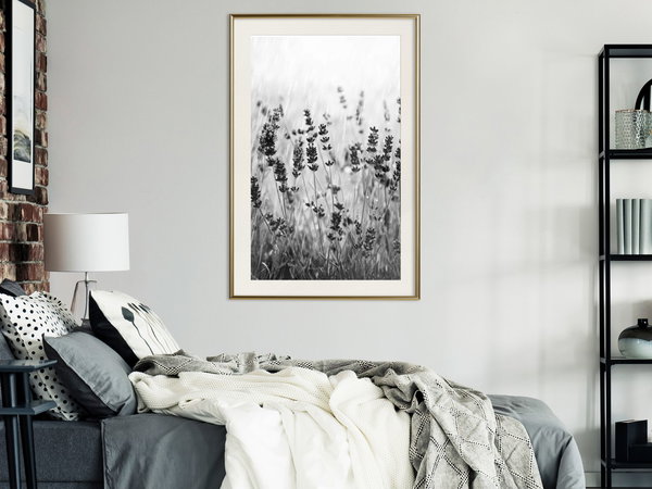 Poster 'Shadow of Meadow'