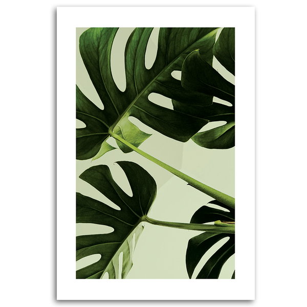 Kunstdruck auf Leinwand 'Monstera Leaves Close-Up'