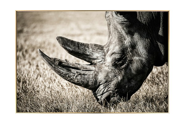 Istantanea artistica