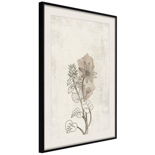 Poster 'Life of Plants'